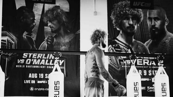 Sean O’Malley