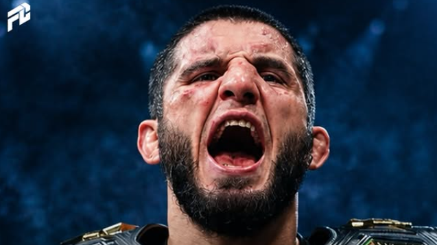 UFC 330 Payouts