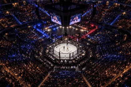 UFC PARIS